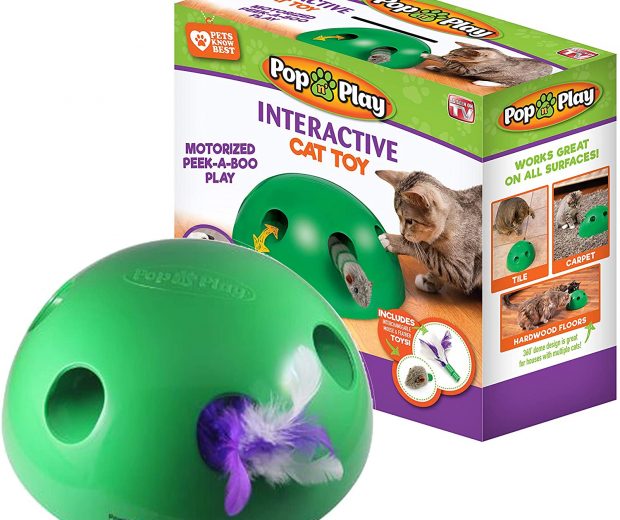 Pop N’ Play Interactive Motion Cat Toy